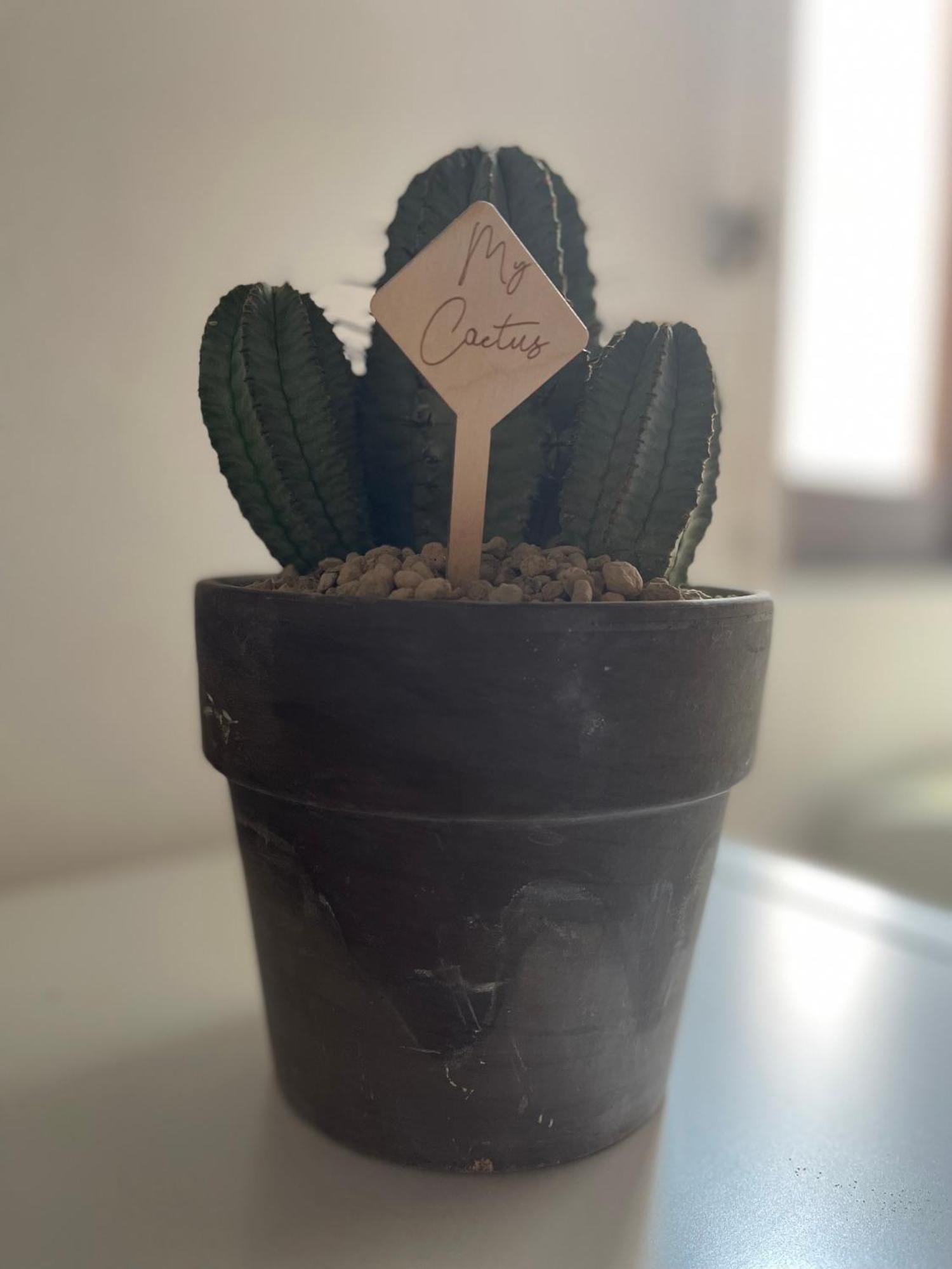 דירות רומא A Den For Two מראה חיצוני תמונה